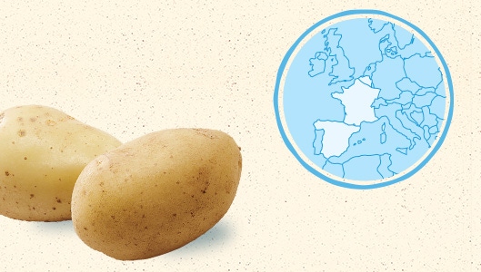La pomme de terre de France, de Belgique et d'Espagne
