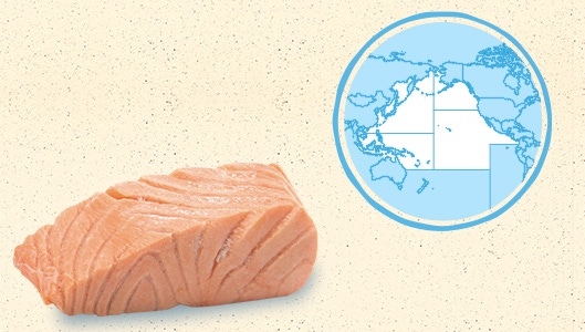 La saumon d'Alaska et du Pacifique Nord Est