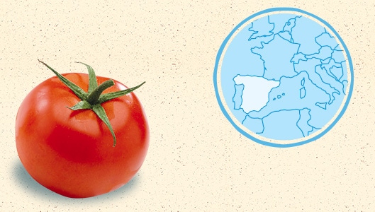 Le concentré de tomates d'Espagne