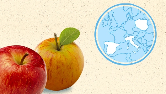 La pomme d'Italie, d'Espagne et de Pologne
