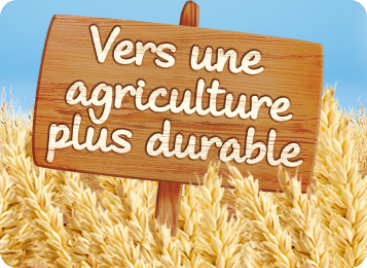 P'tite Cereale Agriculture
