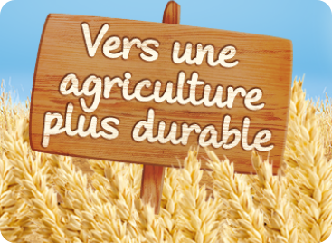 NESTLE P'tite céréale riz en poudre dès 4-6 mois 220g pas cher 