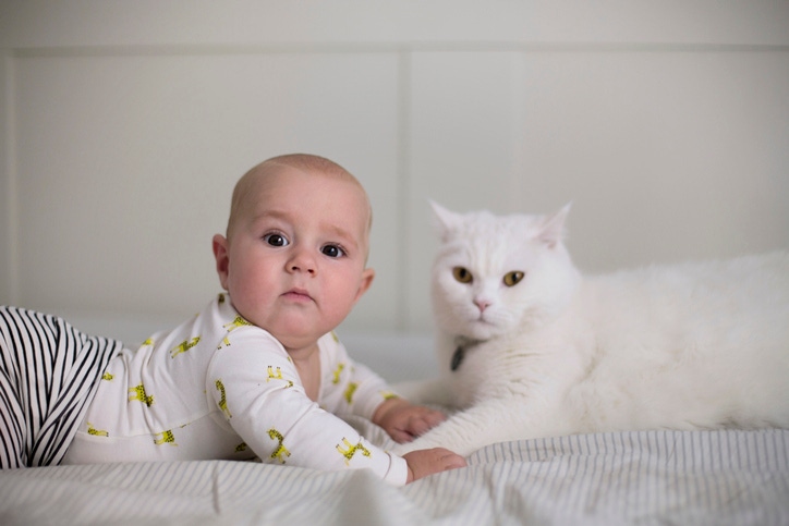 Bébé et animaux de compagnie : comment se préparer ?