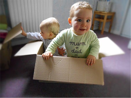 twins in a box