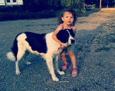 lana dog with baby