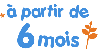 a partir de 6 mois