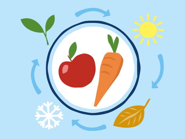 Les fruits à légumes pour bébé Les fruits à légumes pour bébé