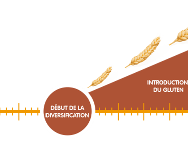 info_a-graph_gluten info_a-graph_gluten