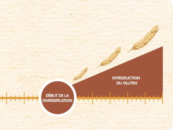 DEBUT_DIVERSIFICATION DEBUT_DIVERSIFICATION