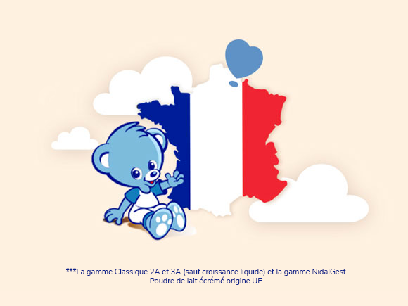 fabrication_nidal.png fabrication_nidal.png
