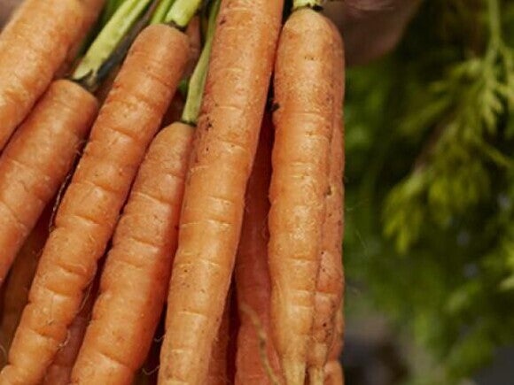 mes_recettes_3 mes_recettes_3