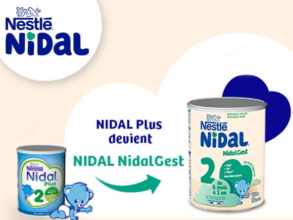 nidalgest nidalgest