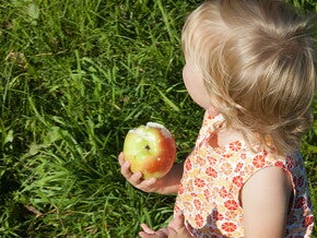 L'introduction de fruits dans l'alimentation de bébé : une étape essentielle L'introduction de fruits dans l'alimentation de bébé : une étape essentielle