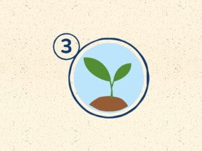 L'engagement de Naturnes pour l'environnement