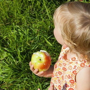 L’introduction des fruits dans l’alimentation de bébé