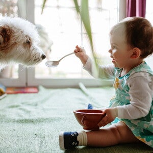 Bébé et animaux de compagnie : comment se préparer ?
