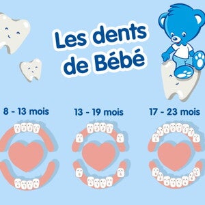 La poussée dentaire âge par âge