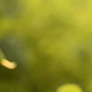 header-1400x260_0 header-1400x260_0