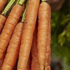 mes_recettes_3_0 