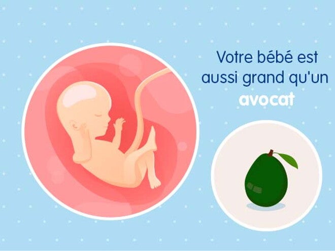 Mon bébé a 2 semaines