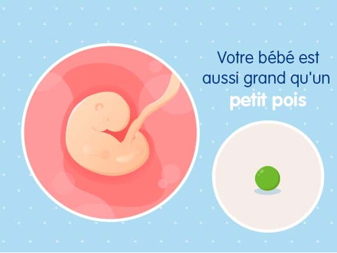 5ème semaine de grossesse - 7 SA | Nestlé Bébé