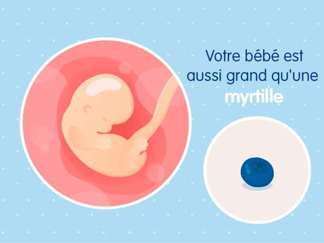 7ème semaine de grossesse - 9 SA | Nestlé Bébé