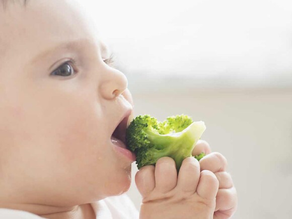 La croissance de bébé La croissance de bébé