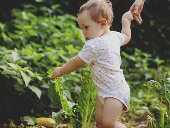 Pourquoi le fer est-il important pour mon bébé ? Les besoins en fer de bébé