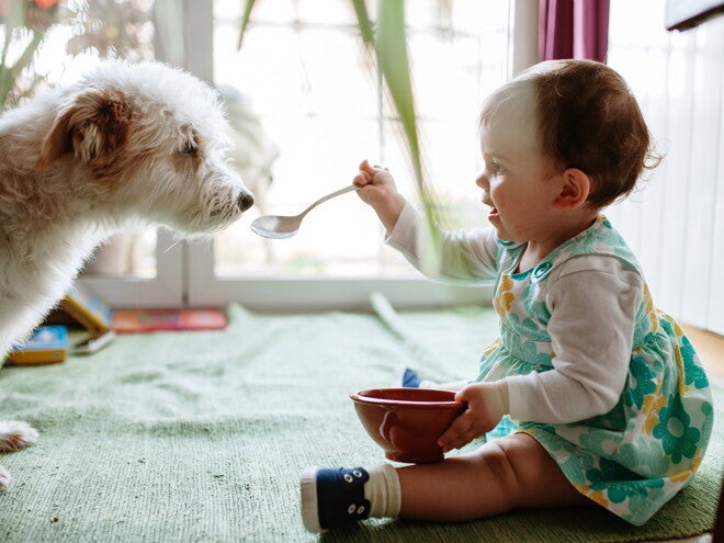 Bébé et animaux de compagnie : comment se préparer ? Bébé et animaux de compagnie : comment se préparer ?