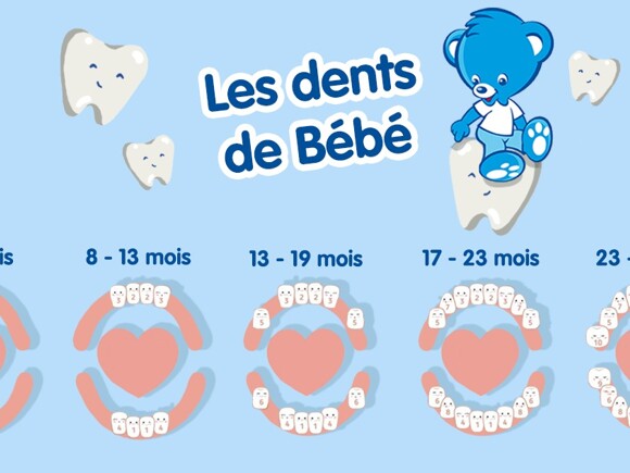 Les dents de bébé La poussée dentaire âge par âge