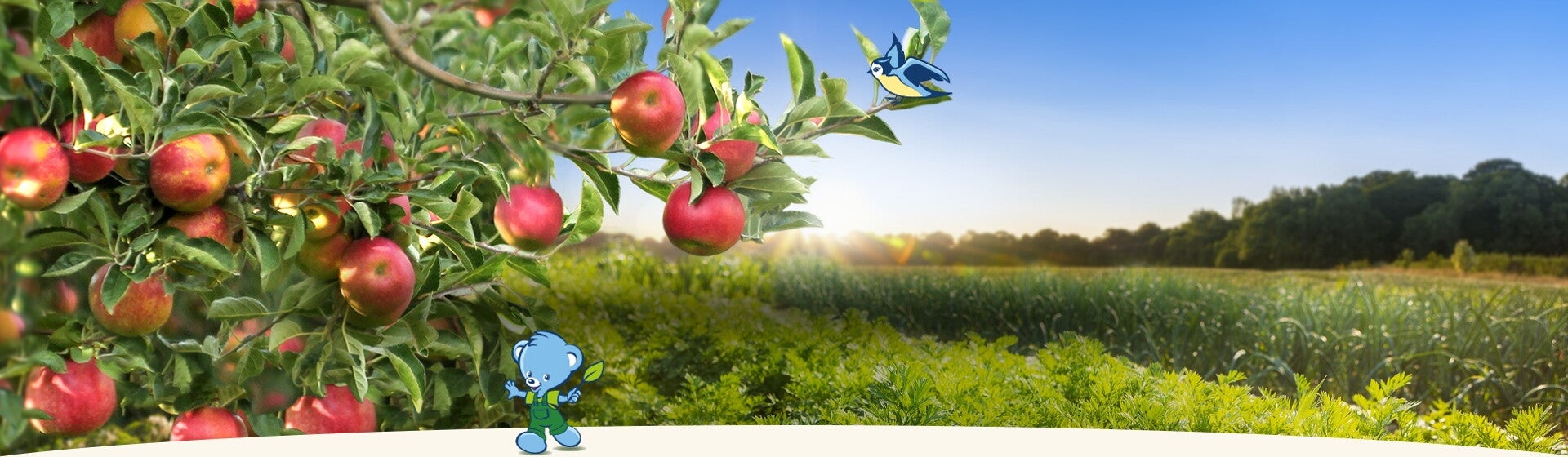 Un verger de pommiers et un potager Un verger de pommiers et un potager