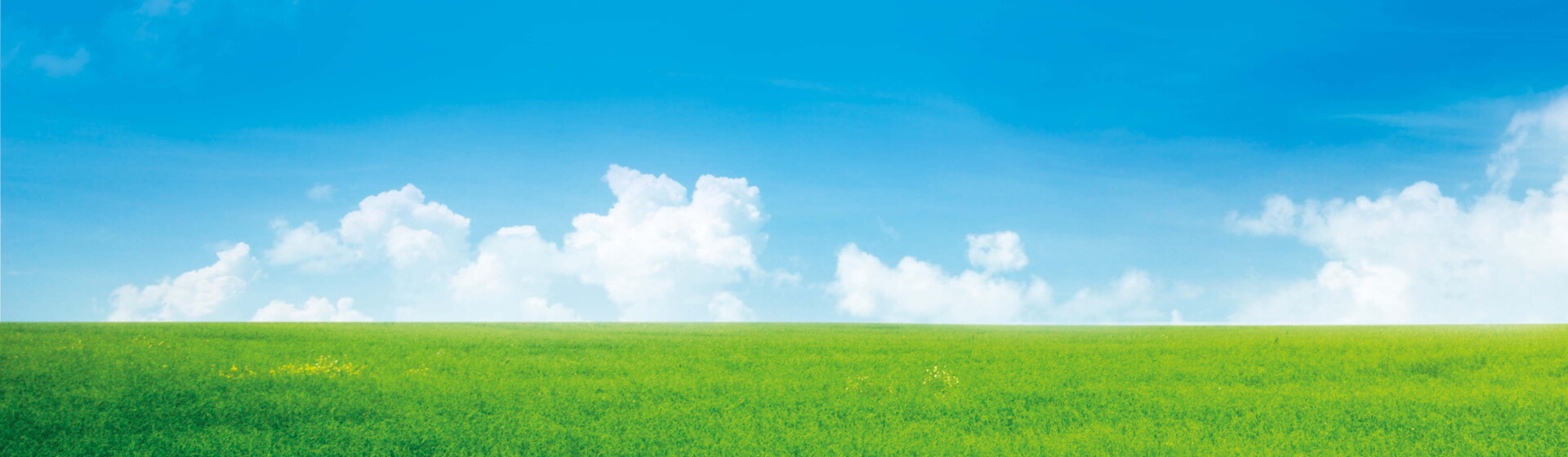 Les légumes NATURNES Les légumes NATURNES