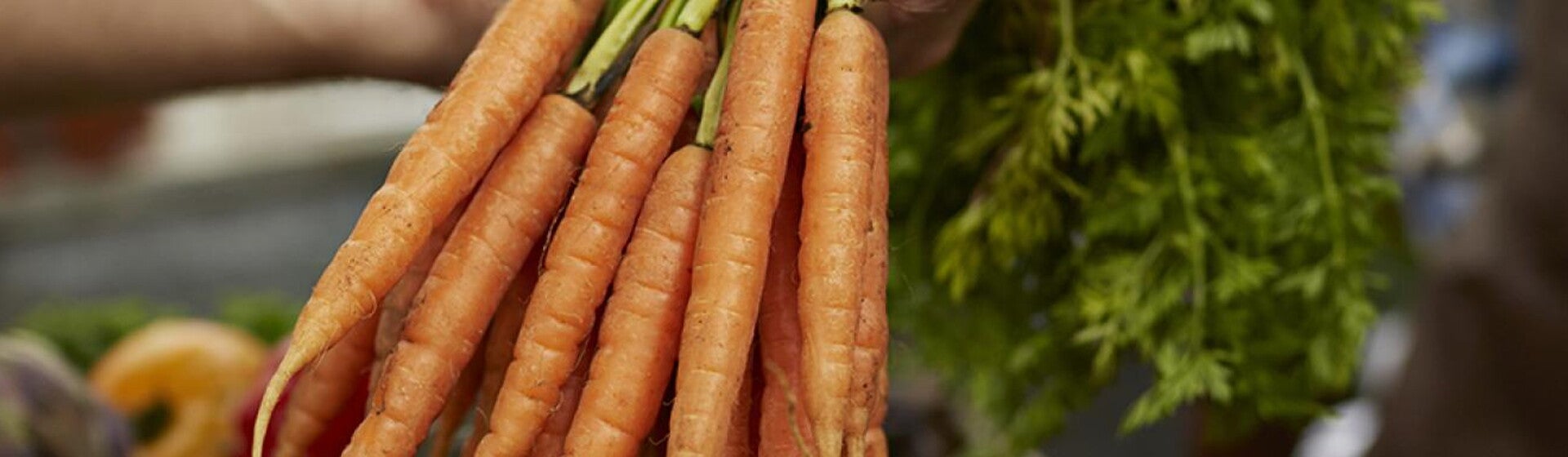 mes_recettes_3_0 mes_recettes_3_0