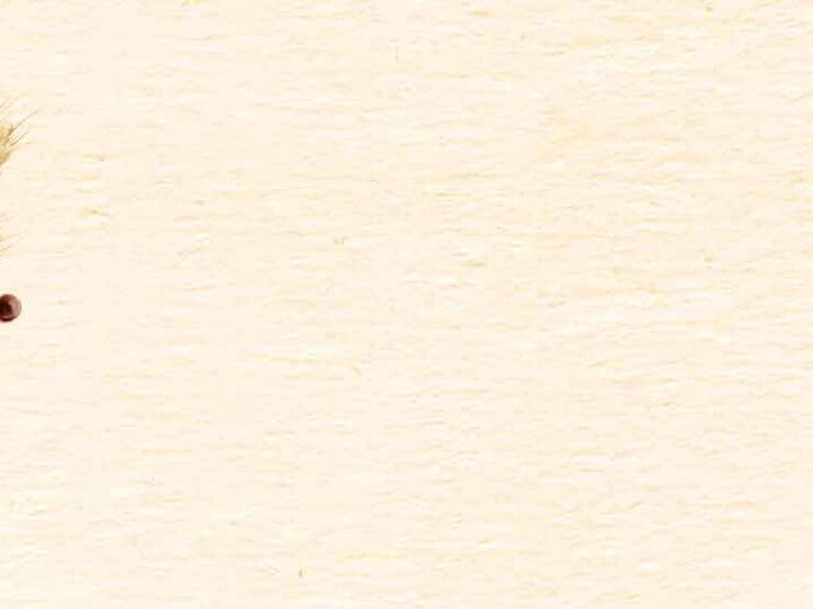 Cereale-headerbrand Cereale-headerbrand