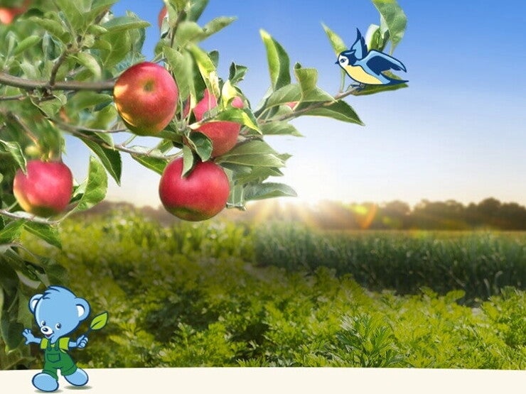 HEADER_HOME_NATURNES (1) HEADER_HOME_NATURNES (1)
