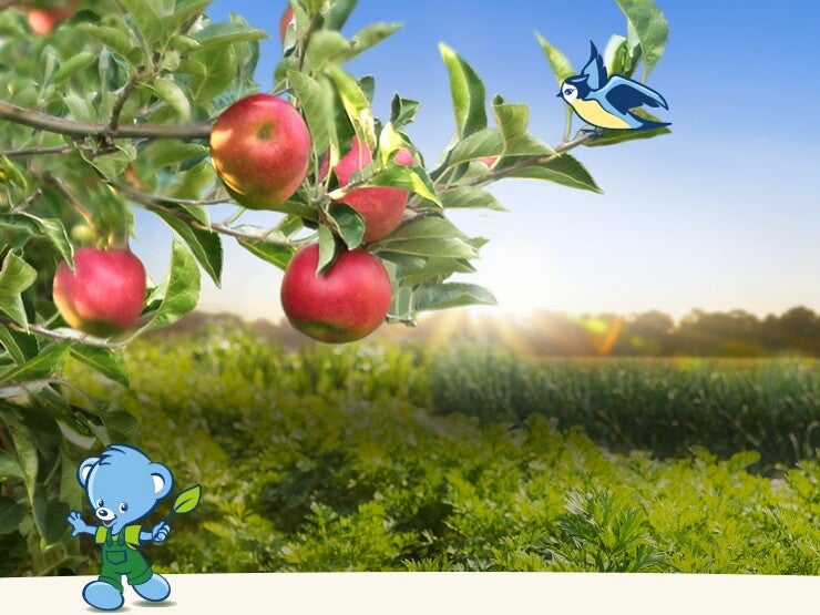 Un verger de pommiers et un potager Un verger de pommiers et un potager