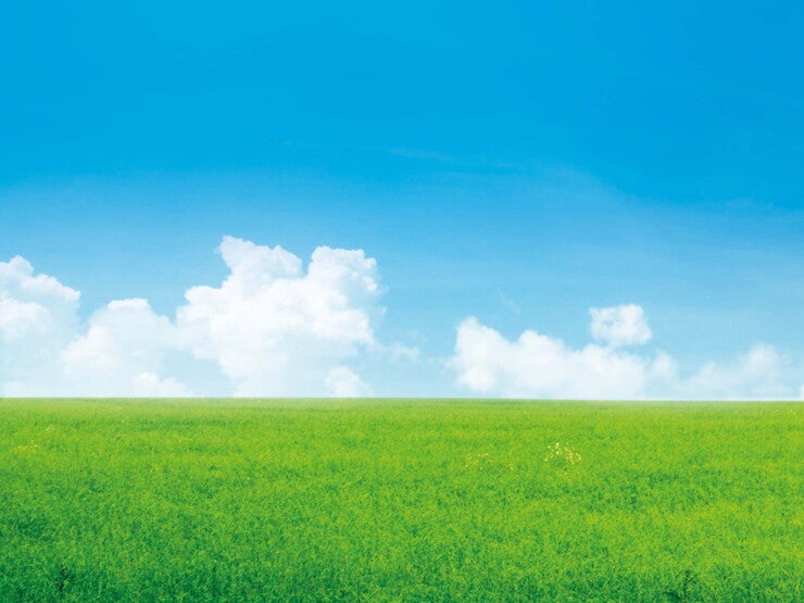 Les légumes NATURNES Les légumes NATURNES