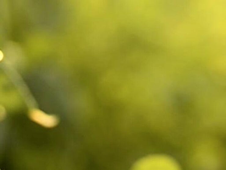 header-1400x260_0 header-1400x260_0
