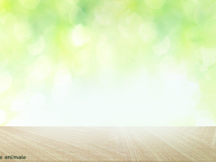 header header