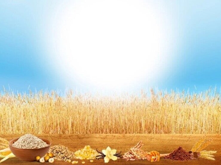Ptite cereale header Ptite cereale header