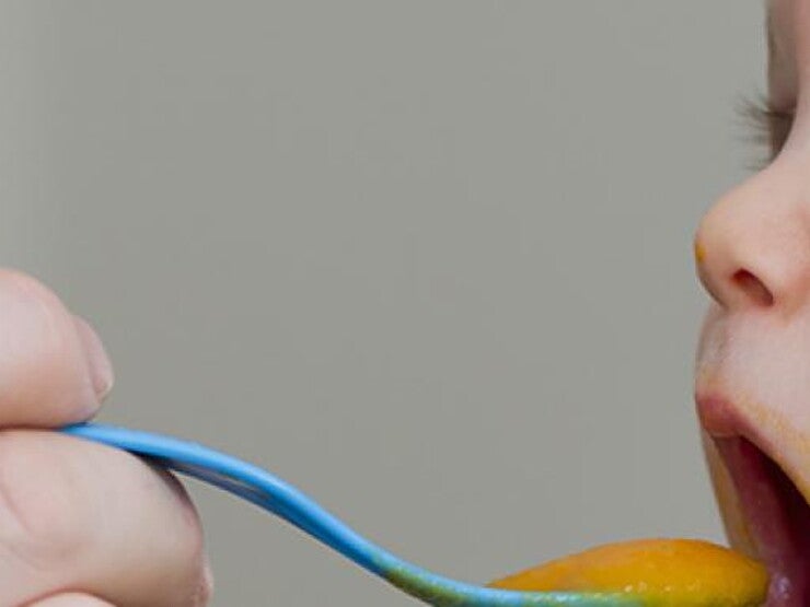 Recettes avec de la viande pour bébé Recettes avec de la viande pour bébé