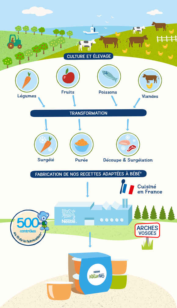 Le processus de culture et d'élevage