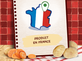 France France
