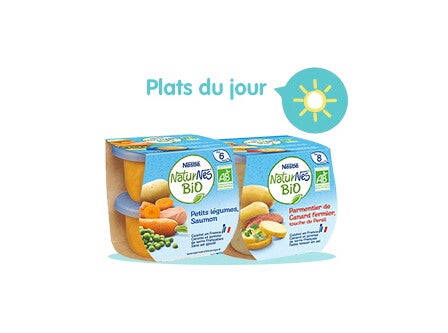 nns-platjour2 nns-platjour2