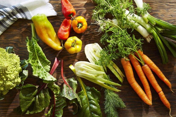 Un plat pour bébé avec légumes.