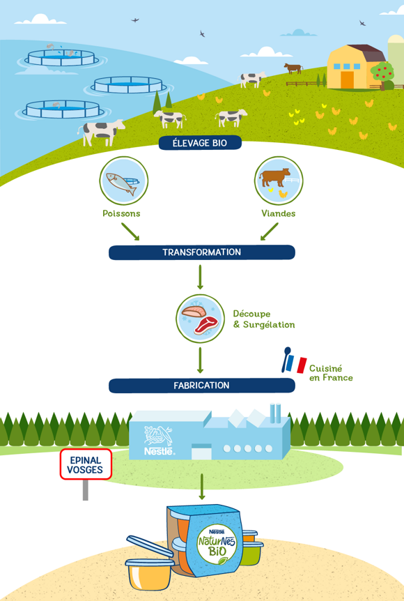 Infographics 2 Infographics 2