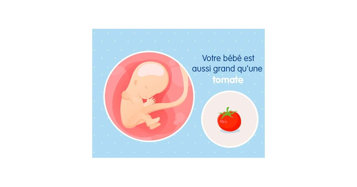 11eme Semaine De Grossesse 13 Sa Nestle Bebe