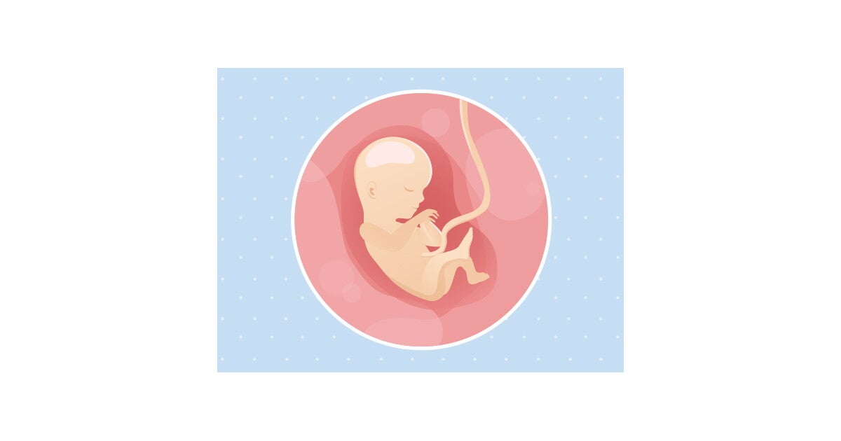 15eme Semaine De Grossesse 17 Sa Nestle Bebe
