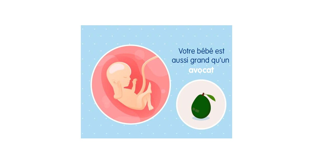 16eme Semaine De Grossesse 18 Sa Nestle Bebe