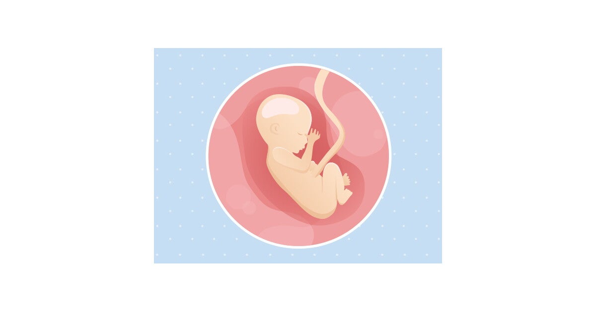 17eme Semaine De Grossesse 19 Sa Nestle Bebe